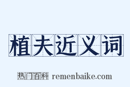 植夫近义词是什么意思的图片